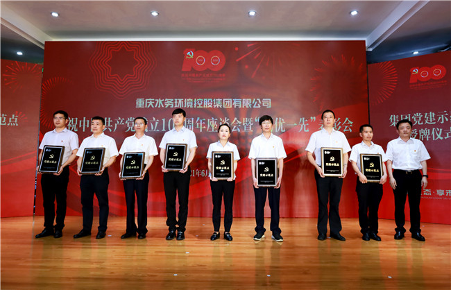 5.党建树模点授牌.jpg